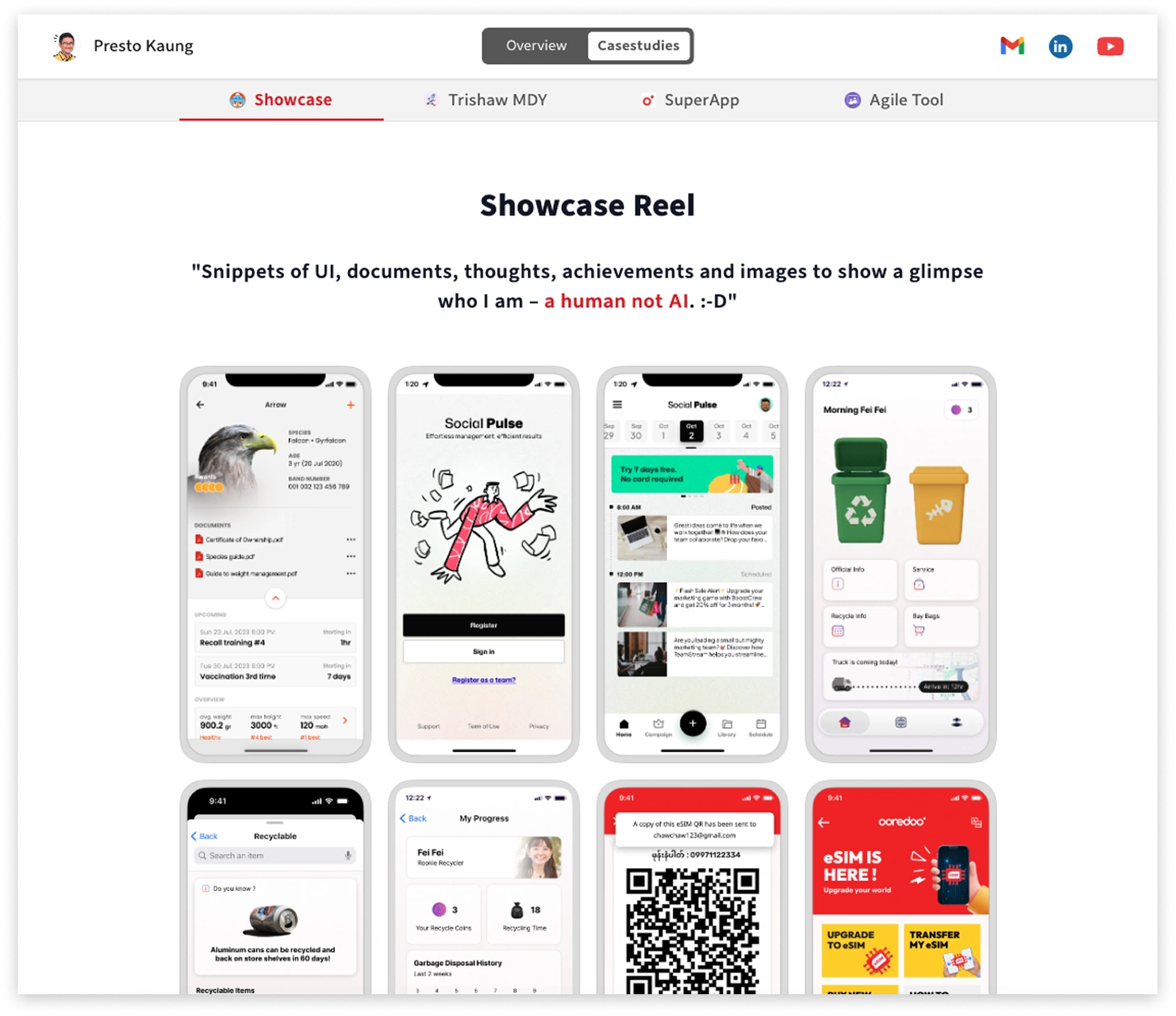 Portfolio showcase — project screenshot
